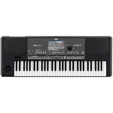 Професійна аранжувальна станція Korg PA600: Тип Профессиональные