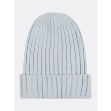 Шапка H&M 2310-519293 46-48 голубая: Пол Мальчик