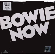 LP I-DI David Bowie: Now (RSD 2020 Release) (LP0019): Производитель I-DI