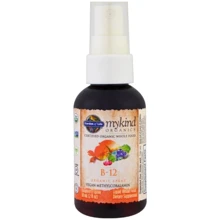 Garden of Life MyKind Organics, B-12 Organic Spray, Raspberry, 2 fl oz (58 ml) (GOL-11779): Тип Витамин B