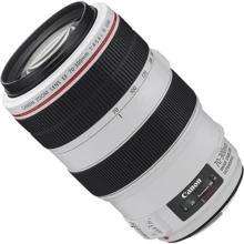 Объектив для фотоаппарата Canon EF 70-300mm f/4.0-5.6 L IS USM: Тип объектива Длиннофокусный