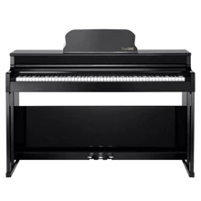 Цифровое пианино The ONE TOP1X (Black): Тип Сценические