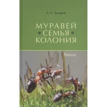 А. А. Захаров: Мураха. Родина. Колонія: Виробник Фитон ХХI