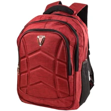 Чоловік рюкзак Valiria Fashion бордовий (3DETBI2014-1): Стать Чоловік