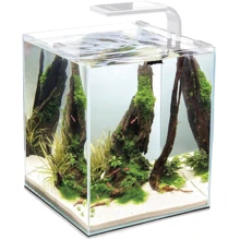 Аквариум Aquael Shrimp Set Day & Night 20 для креветки белый 30x25x25 см 19 л (5905546326223): Производитель Aquael
