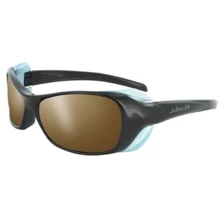 Спортивные очки Julbo DOLGAN Spectron 3 Chocoblack (J325250): Назначение Альпинизм, Горный туризм