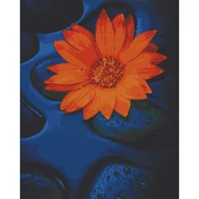 Картина за номерами Art Craft Квітка лотоса 40х50 см (13124-AC): Виробник Art Craft