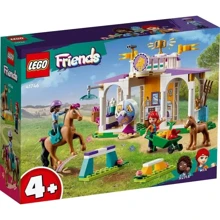 Конструктор LEGO Friends Тренировочный комплекс для лошадей (41746): Серия Friends