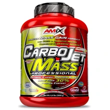 Гейнер Amix CarboJet Gain Mass Professional 3000 g / 30 servings / strawberry-banana: Тип Высокоуглеводные