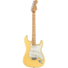 Электрогитара FENDER PLAYER STRATOCASTER MN BCR: Тип Электрогитара