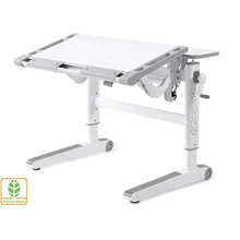 Детский стол Mealux Ergowood L (BD-810 W/G): Тип Парта