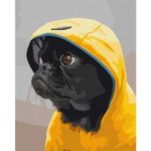 Картина по номерам Brushme Мопс в худи 40x50 см (BS52614): Производитель Brushme