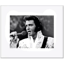 Картина и коллаж Картина Salvadori Arte Elvis 31х26 см (SE301W4536*): undefined undefined