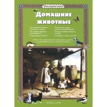 Домашні тварини. Моя перша книга: Виробник Белый город