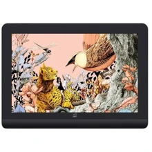 Графический планшет XP-Pen Artist Pro 16 (Gen 2) black, 16", 5080 LPI, 16384 levels, 2560x1600: Формат поверхности A4