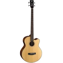Акустическая бас-гитара CORT AB850F (NAT) w/bag: Тип Бас-гитара
