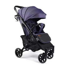 Дитячий прогулянковий візочок Joy Livvi (LV-04270): Тип коляски Прогулянкова