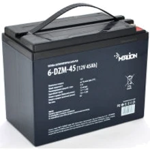 Merlion 6-DZM-45, 12V 45Ah (6-DZM-45): Тип Аккумулятор