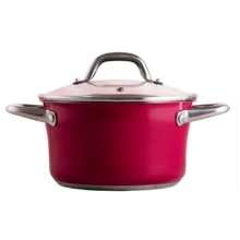 Кастрюля Pepper CAMELLIA, 20x11.5 см, 3.3 л (PR-2403-20): Тип Традиционная