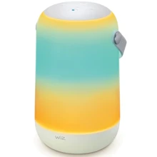 Умный светильник WiZ Mobile Portable WiFi белый: Тип Настольные лампы