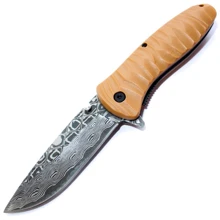 Нож Ganzo G622-DY-2: Тип ножа складной