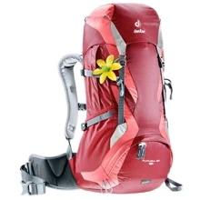 Рюкзак Deuter Futura 30 SL Cranberry-Coral (34244): Производитель Deuter