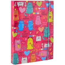 Папка для тетрадей картонная В5 Lovely Cats (491664): Тип Папка для тетрадей