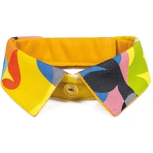 Воротник для собак Pet Fashion Bright размер S-M разноцветный (4823082425471): Тип Воротнички