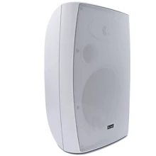 Инсталляционная акустическая система HL AUDIO WS54: Тип Ближнего поля