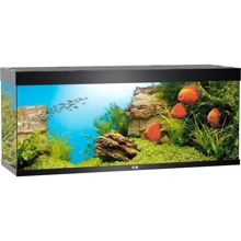 Акваруим Juwel прямий Rio 450 LED 151x66x51 см черный (5350): Производитель Juwel