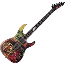 Электрогитара LTD SLAYER 2013: Тип Электрогитара
