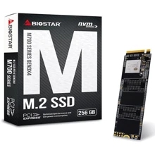 Biostar 256GB M760-256GB: Тип накопичувача внутренний