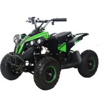 Квадроцикл аккумуляторный FORTE ATV1000QB красный: Цвет красный