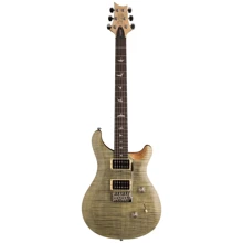 Электрогитара PRS SE Custom 24 - 2018 (Tampas Green): Тип Электрогитара