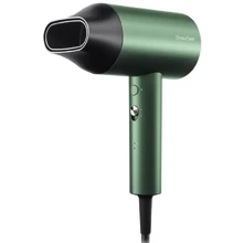 Фен Xiaomi ShowSee Electric Hair Dryer A5-G Green: Тип фен
