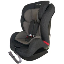 Автокресло Welldon Encore (графитовый/серый) BS07-S95-001: Группа 1/2/3 (9-36 кг)