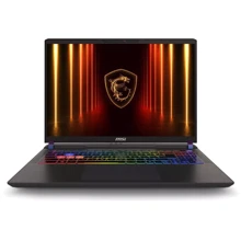 Ноутбук MSI Vector 16 HX AI A2XWIG (A2XWIG-058US): Экран 16" (2560x1600) WQXGA