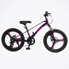 Детский спортивный велосипед Corso FХХ 20" дюймов (MG-20312): Тип 2х колесный велосипед
