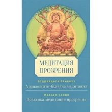 Бхіккху Буддхадаса, Саяд махас: Медитація прозріння: Виробник Гангу