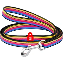 Поводок WAUDOG Nylon, рисунок "Линия 1" 10 мм 122 см разноцветный (5238): Тип Поводок