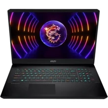 Ноутбук MSI Vector GP77 (GP77 13VG-012PL_64_2+2TB): Экран 17.3" IPS (2560x1440)