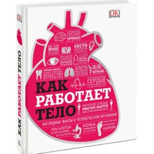 Как работает тело: Производитель Манн, Иванов и Фербер