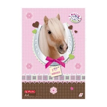 Альбом для рисования Herlitz A4 75л 70г Pretty Pets Horse: Тип скрепления Проклеен