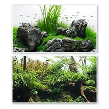 Фон двосторонній Amtra Amazonia 30х60 см (A8011596): Виробник Amtra