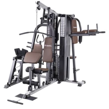 Фитнес станция inSPORTline Profigym C300 з витягом (20764): Тип конструкции стационарный