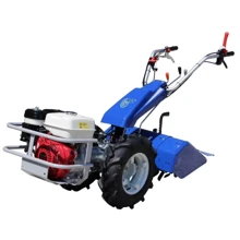 Мотоблок AGT AGT3DF GX270 (PFAGT2GP160/E): Производитель AGT
