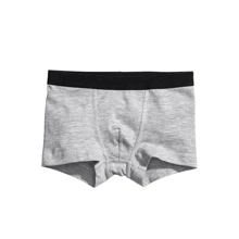 Трусы H&M 6586018 98-104 см светло-серые: Пол Мальчик