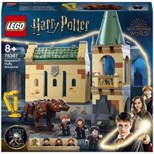LEGO Harry Potter Хогвартс: встреча с Флаффи (76387): Серия Harry Potter