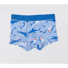 Труси H & M 7633069 122-128 см блакитні: Тип Труси