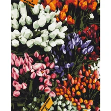 Картина по номерам Brushme Ярмарка тюльпанов 40x50 см (BS52646): Производитель Brushme
